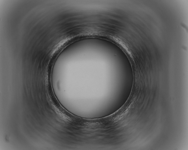 X0000092060629200709121006