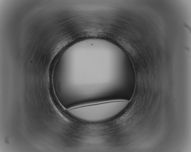 X0000092060630200709121006