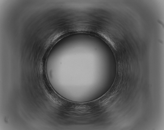 X0000092060631200709121006