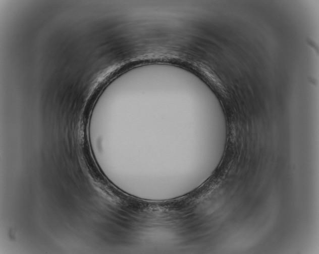 X0000092060632200709121006