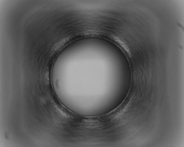 X0000092060633200709121006