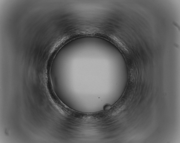 X0000092060634200709121006