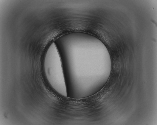 X0000092060635200709121006