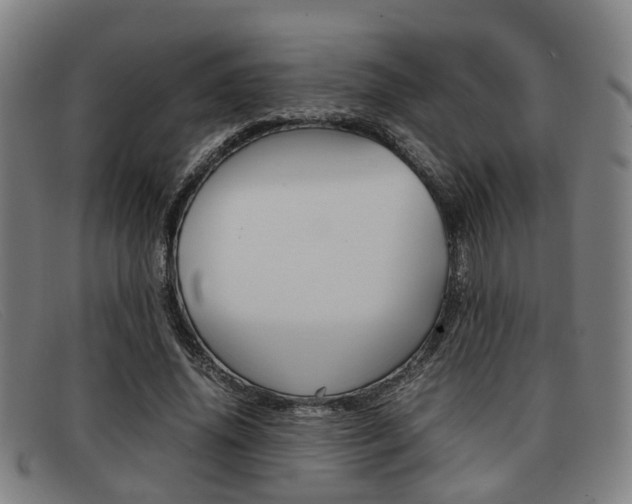 X0000092060636200709121006
