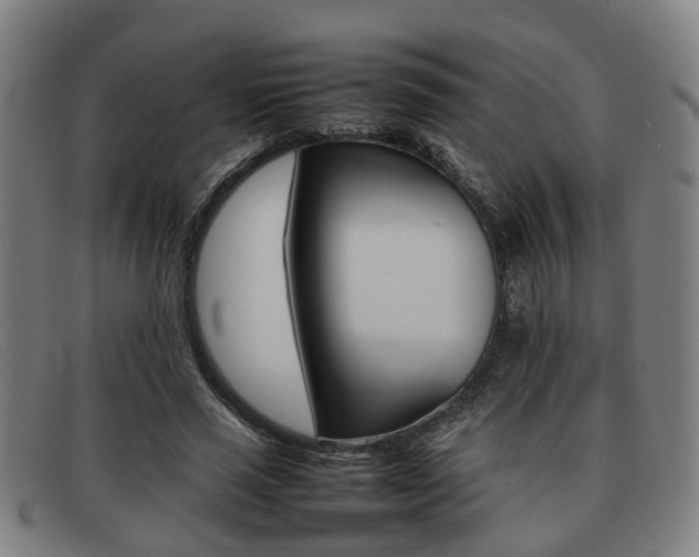 X0000092060637200709121006
