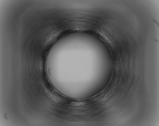 X0000092060639200709121006