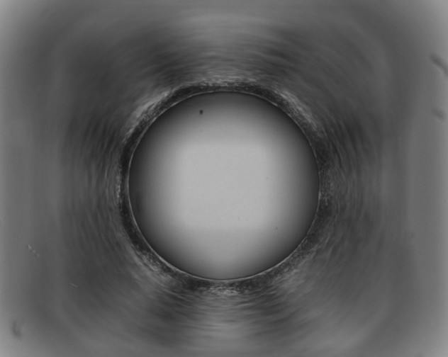 X0000092060640200709121006