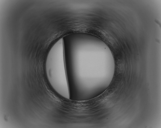 X0000092060641200709121006