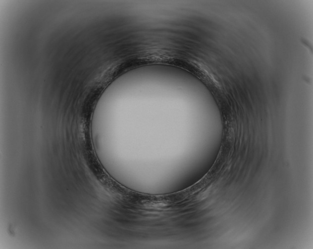 X0000092060643200709121006