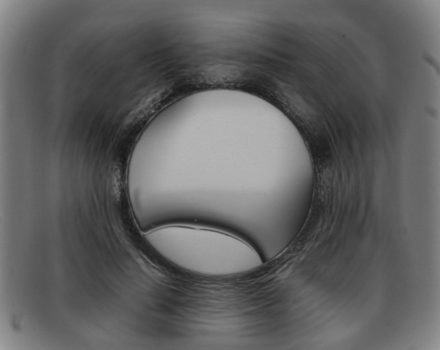 X0000092060644200709121006