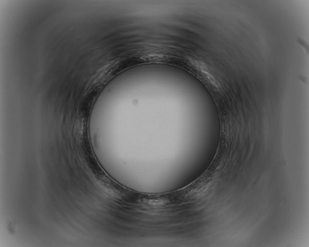X0000092060645200709121006