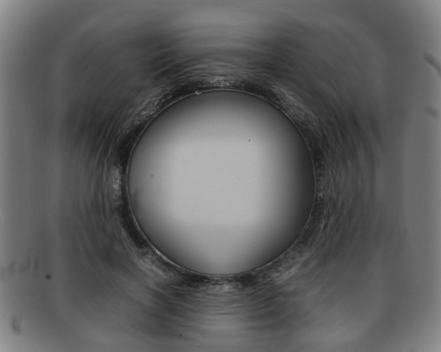 X0000092060646200709121006