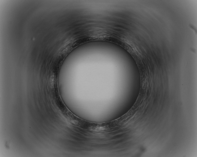 X0000092060647200709121006