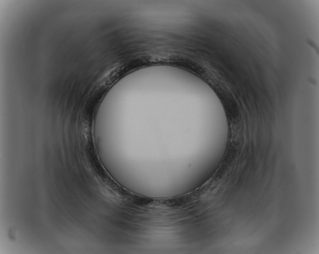 X0000092060648200709121006