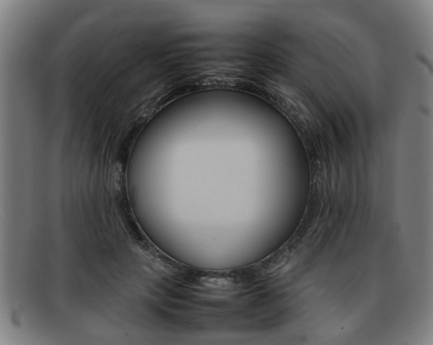 X0000092060649200709121006