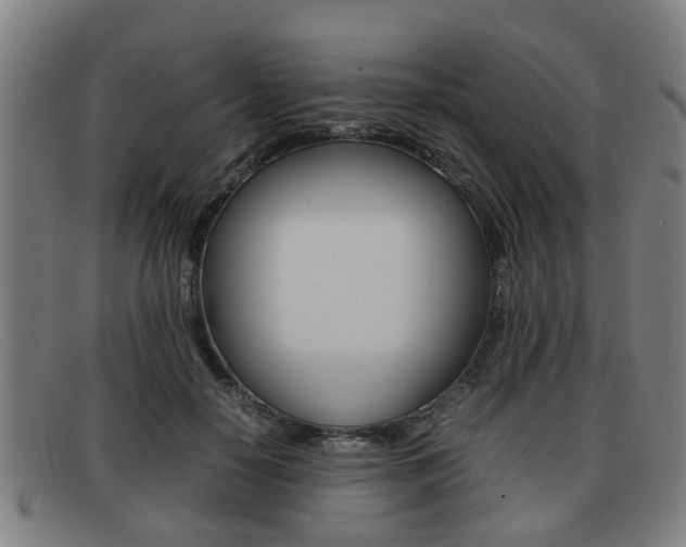 X0000092060650200709121006