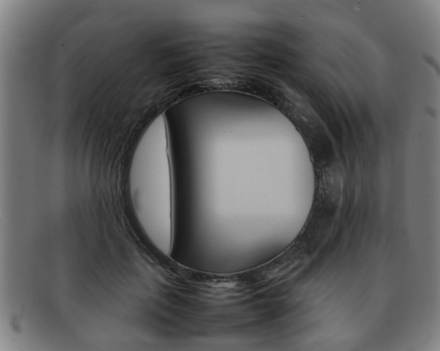 X0000092060651200709121006