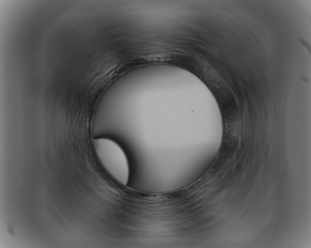 X0000092060652200709121006