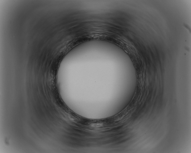 X0000092060653200709121006