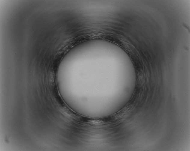 X0000092060654200709121006