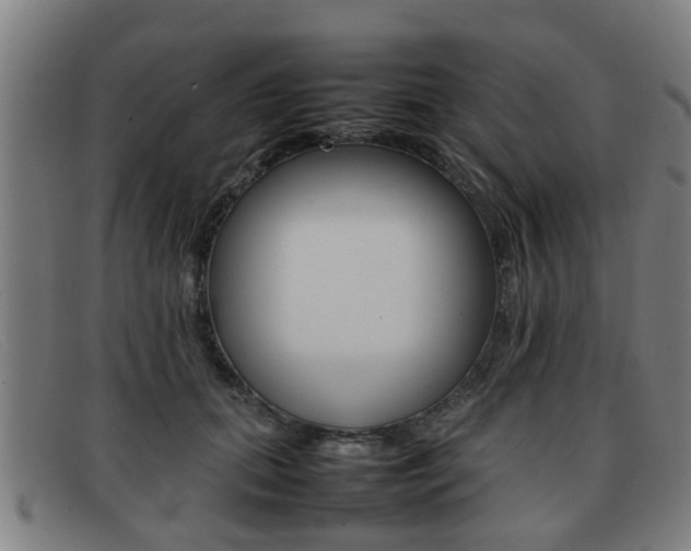 X0000092060655200709121006