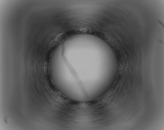 X0000092060656200709121006
