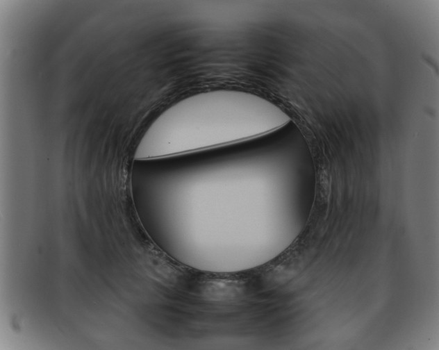 X0000092060657200709121006