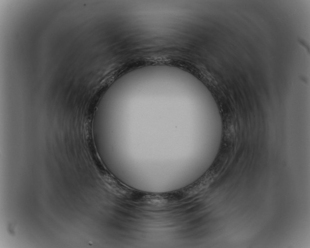X0000092060658200709121006