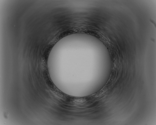 X0000092060659200709121006