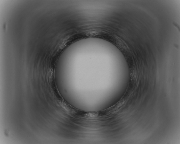 X0000092060660200709121006