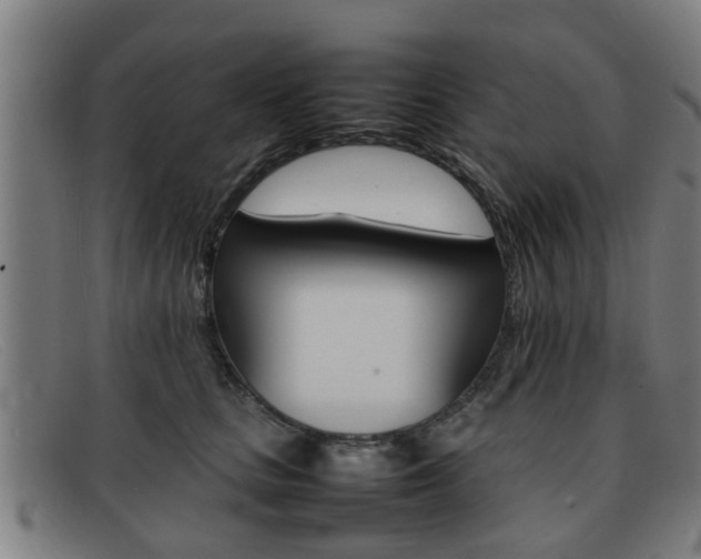 X0000092060661200709121006