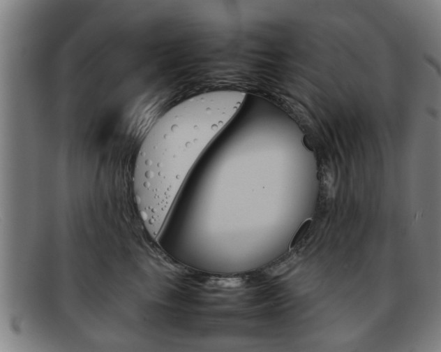 X0000092060665200709121006