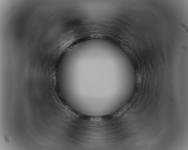 X0000092060666200709121006