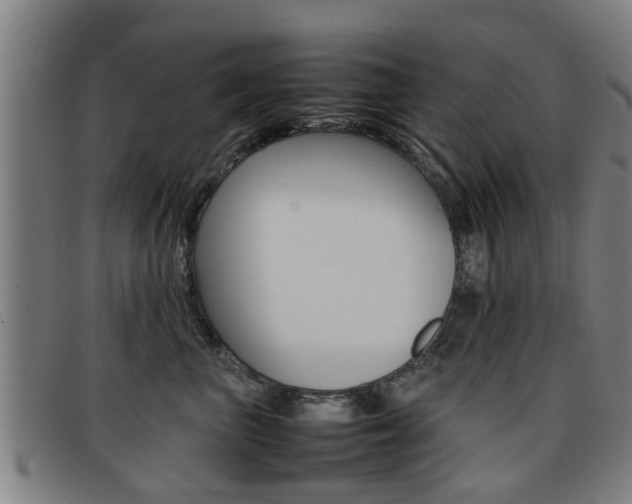 X0000092060667200709121006