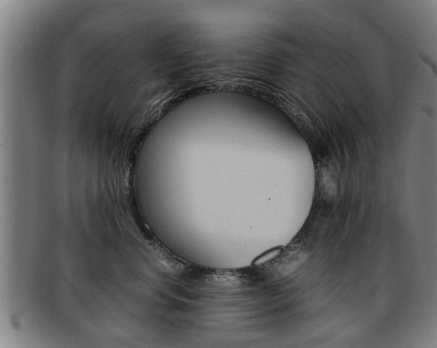 X0000092060668200709121006