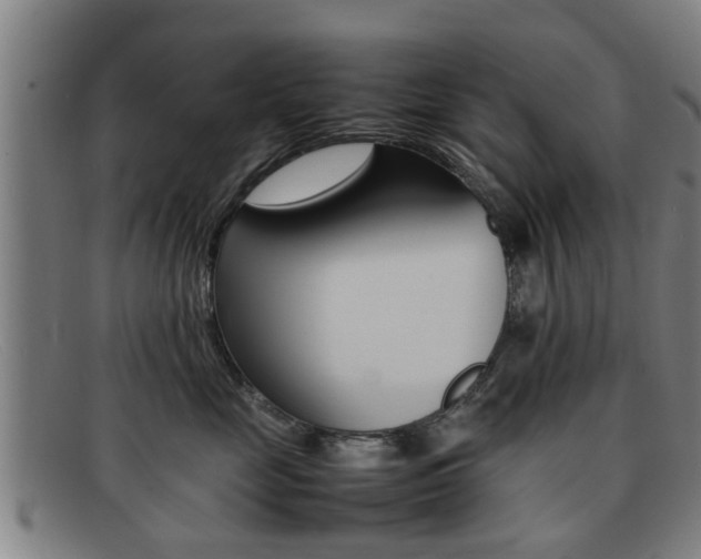 X0000092060669200709121006