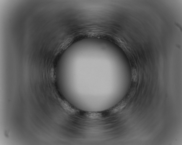 X0000092060670200709121006