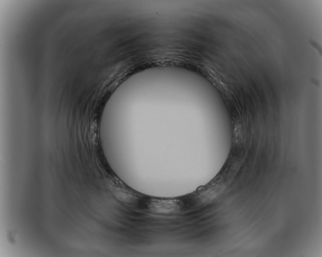 X0000092060671200709121006