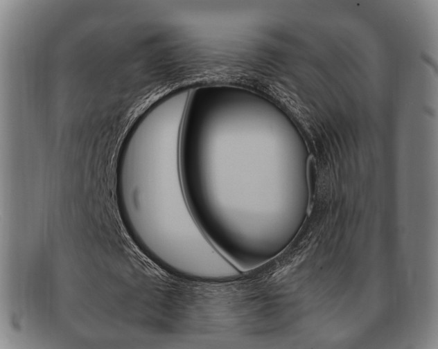 X0000092060673200709121006