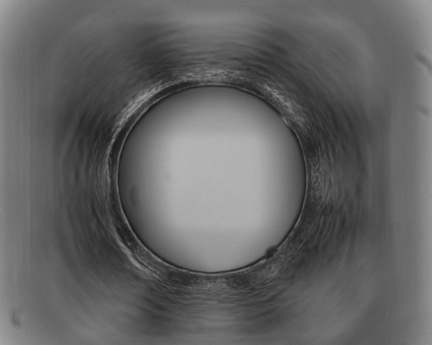 X0000092060674200709121006