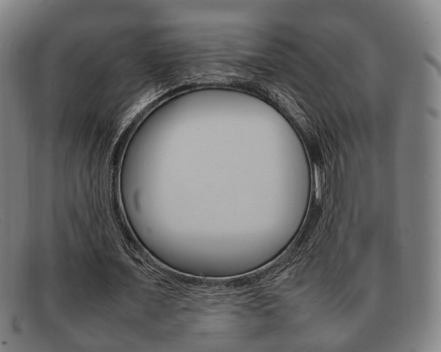 X0000092060675200709121006