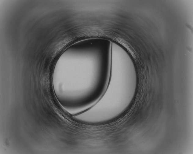 X0000092060677200709121005