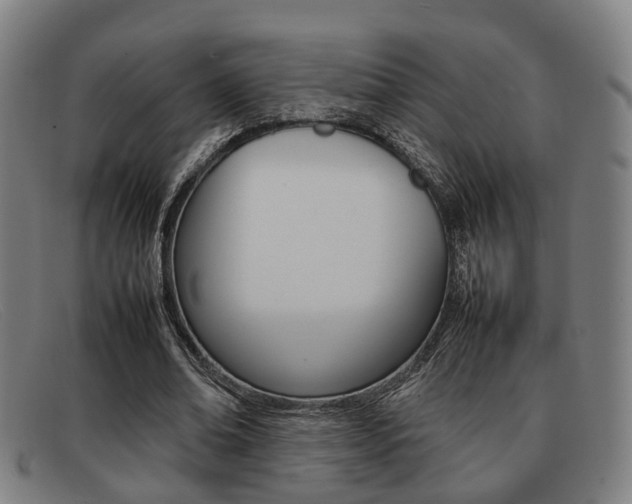 X0000092060678200709121005