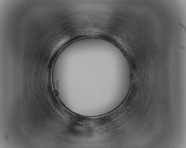 X0000092060679200709121005