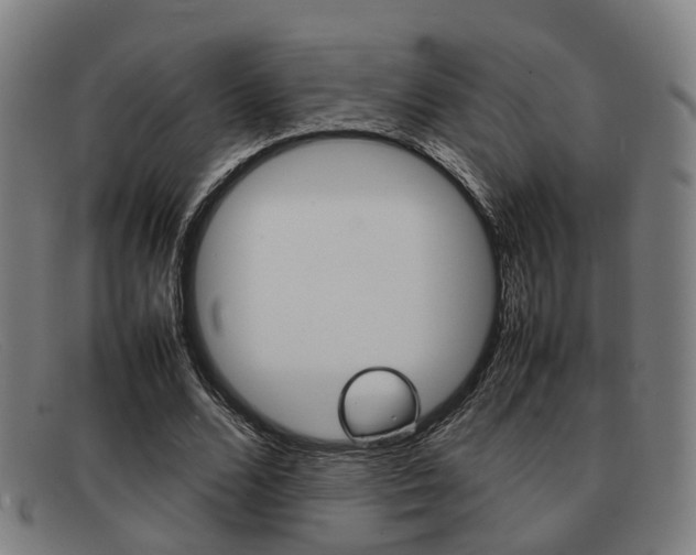 X0000092060680200709121005