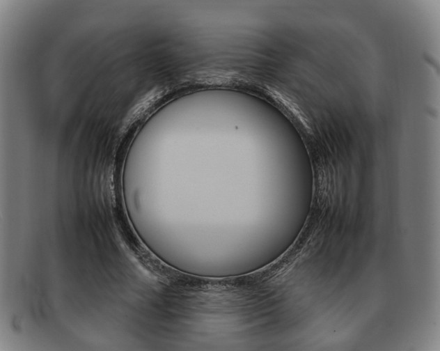X0000092060682200709121005