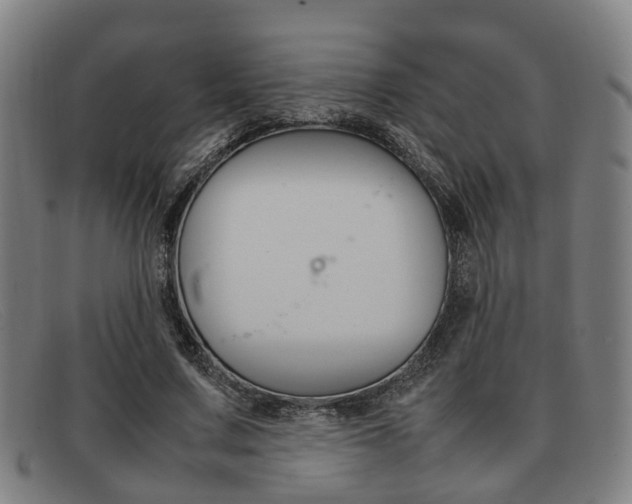 X0000092060683200709121005