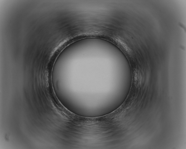 X0000092060684200709121005