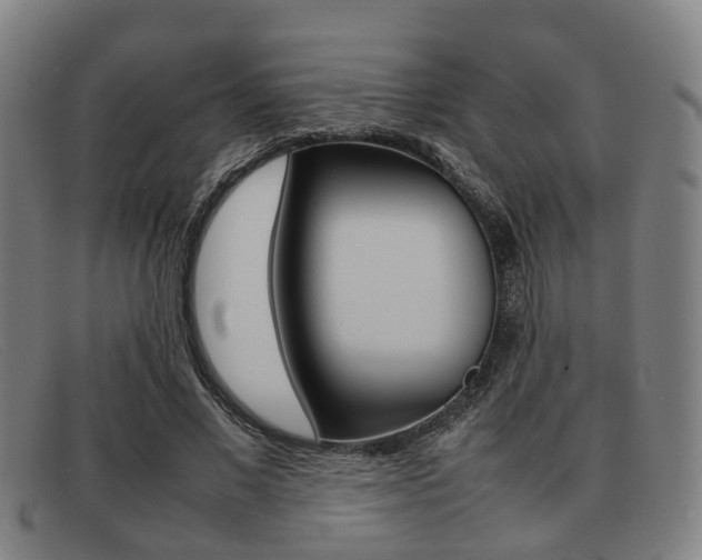 X0000092060685200709121005