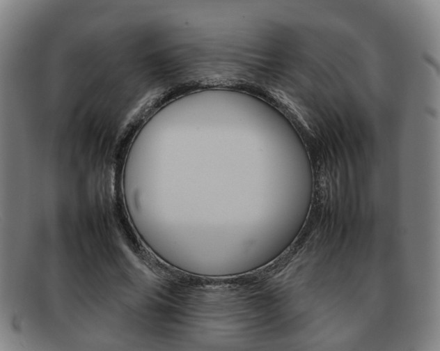 X0000092060686200709121005
